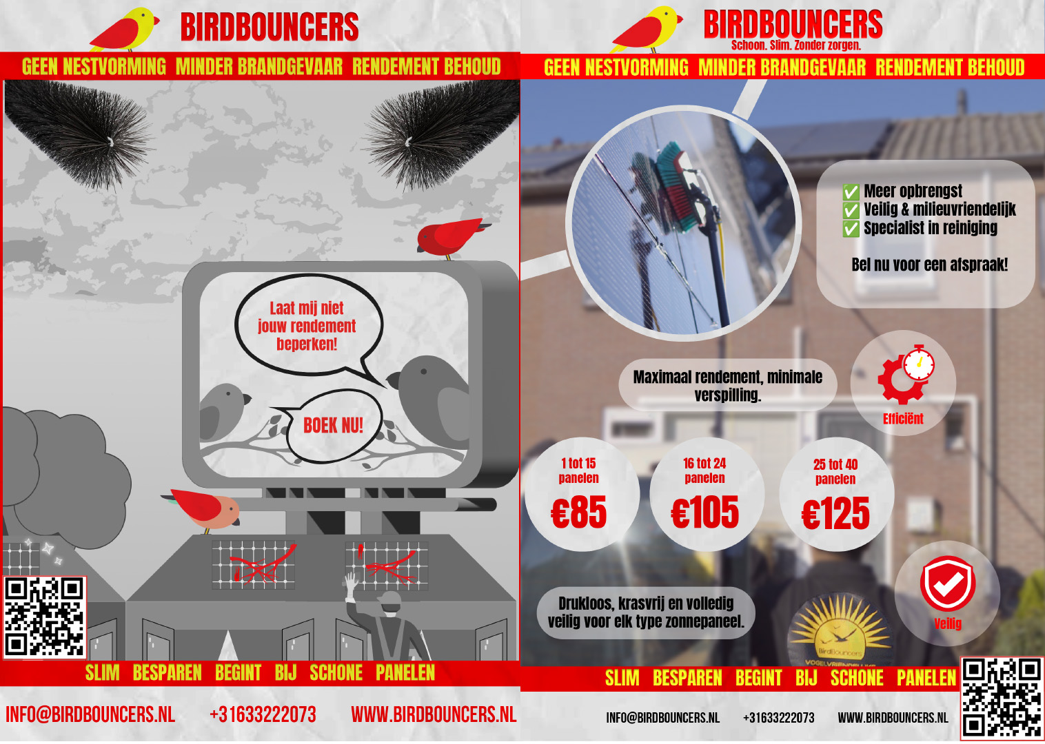 Birdbouncers team